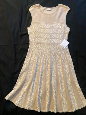 Calvin Klein Dress